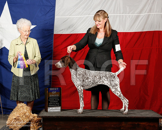 _ST_1707-2-AmarilloSep2014-HR3