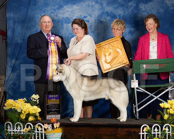 _ST_4211-AddisonHuskyMar2015-HR3