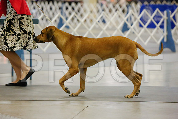 _JJ_3808-AmarilloSept2014-HR3