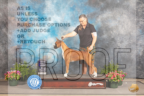 Boxer #12 Fri WB Judge Jan Paulk_MJ_0022_SA_2022_HR3