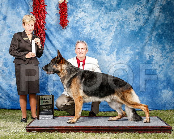 _ST_3676-2-AlamogordoOct2014-HR3