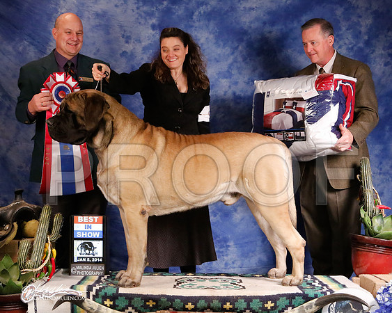 Mastiff-5712-GRJan14-HR