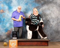 Poodle Std MC #143 Sat2 G4 Judge Matthew Proctor