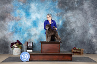 Poodle Miniature #5 Sun WDBOS Judge Donelle Richards