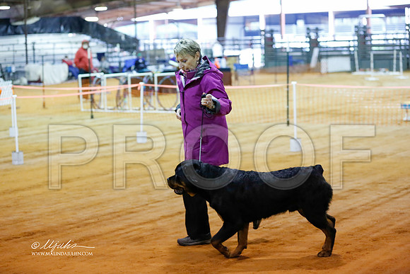 rott-4187-MrshlDec13-HR
