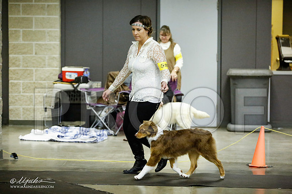 _JJ_6033-BeltonJan2015IABCA-HR3