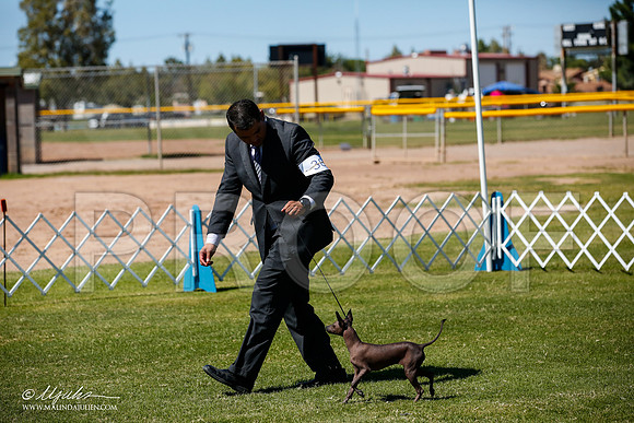 _JJ_8371-AlamogordoOct2014-HR3