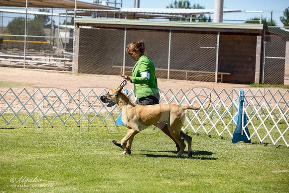 _JN_6328-AlamogordoOct2014-HR3