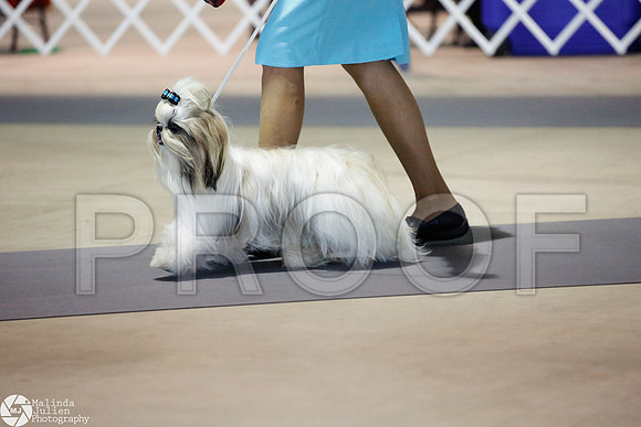 _JJ_3736-SanAntonioJul2014-HR