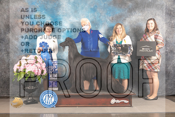 Afghan Hound #15 FRI G1 Judge Barbara Alderman_MJ_5766_Houston_2022_HR3