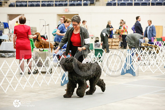 _JJ_1041-AblnMay2014-web