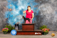 Toy Manchester Terrier #5 Fri WDBOW Judge Allen Odom r