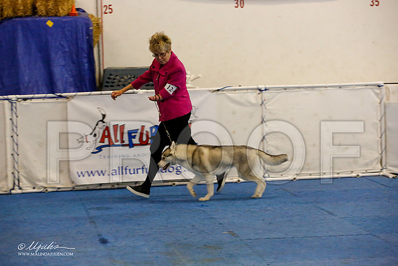 _M3_0612-AddisonHuskyMar2015-HR3