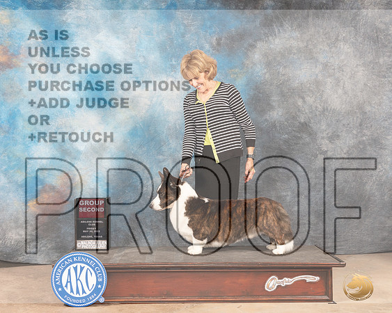Cardigan Welsh Corgi #7 Fri G2 Judge Eric Liebes-MMJ_3348-Addison2022-HR3