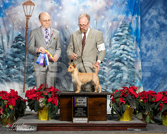 _ST_9565-DallasDec2014-HR3