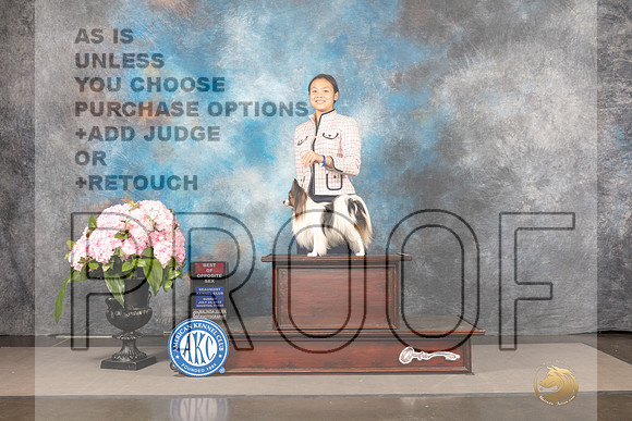 Papillon #5 Sun BOS Judge Barbara Alderman_MJ_8327_Houston_2022_HR3