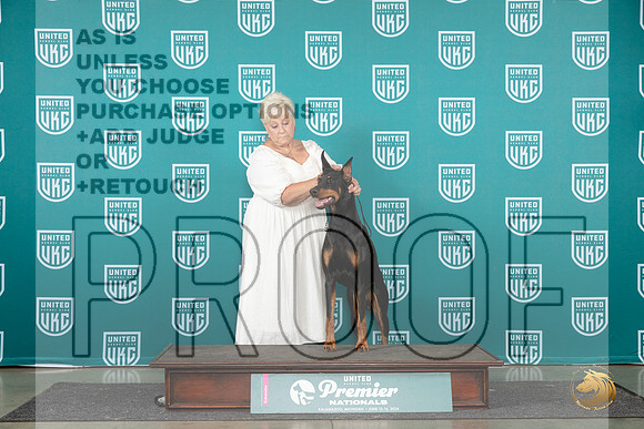 Doberman Pinscher #1263 Sat COC1 Judge Lori Sargent__JP_2120_Premier_2024_HR3