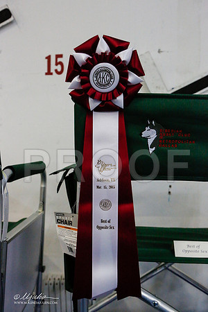 _ST_4165-AddisonHuskyMar2015-HR3