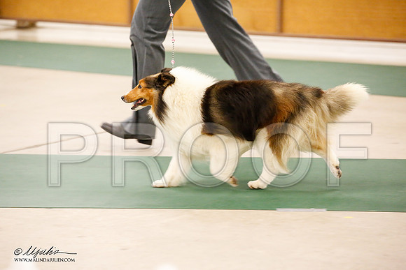 _JN_1668-NrmnNov2014-HR3
