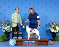 Anne Parchman Houston 2024