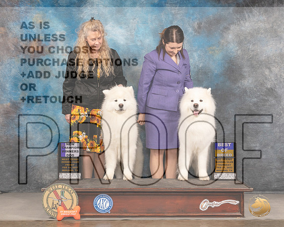 Samoyed #7 BOB #17 Fri WD Judge Del RichardsMMJ_3081_Mdlnd2022_HR3