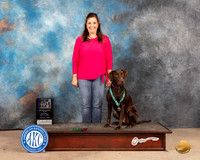 Labrador Retriever #47 Sat RAE Judge Susie Osborn