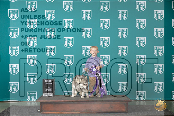 Alaskan Klee Kai #161 Wed BJr Judge Brenda Landers__JP_0416_Premier_2024_HR3