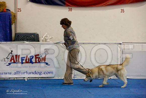 _M3_7540-AddisonHuskyMar2015-HR3