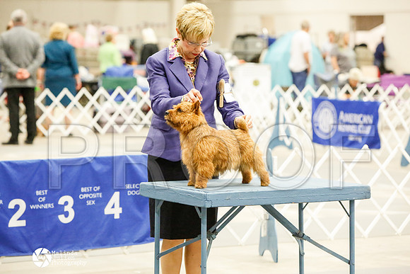 _CK_8806-AblnMay2014-web