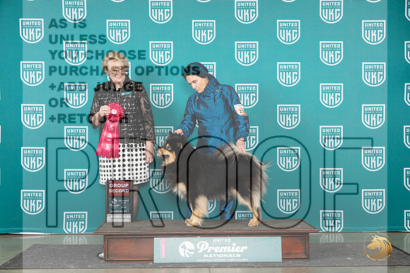 Finnish Lapphund #236 Sat G3 Judge Deb Allen__JP_2621_Premier_2024_HR3