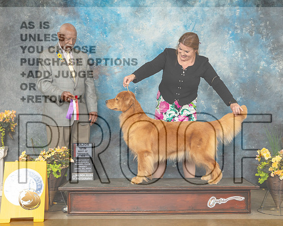 Golden Retrievers #18 Fri BOS Judge Eugene Blake-MMJ_9626-NWARK2022-HR3