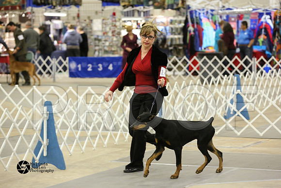 dobe-4893-MidFeb14-HR