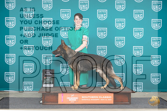 German Shepherd Dog #122 Sun TD__JP_6613_BatesvilleMS_2024_HR3