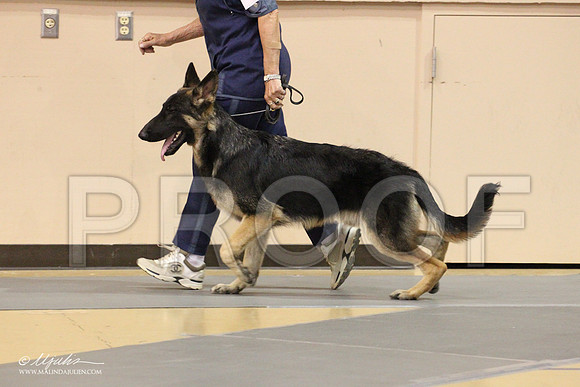 GSD-0279LR