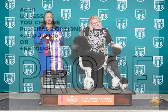 Poodle Std MC #128 Sat1 BISTD Judge Valerie Piltz__JP_6514_BatesvilleMS_2024_HR3