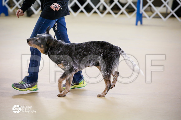 ACD-7593-HtoJan14-HR