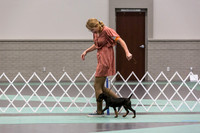 Jagd Terrier Rings Sat