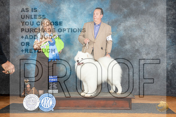 Samoyed #5 Sat G1 Judge Denise Dean__JP_8154_MARSHALL_2024_HR3