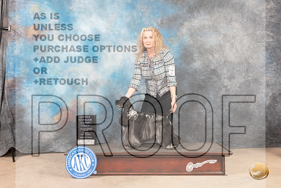Cocker Spaniel Parti #6 Sun OHG1 Judge Gloria Kerr-MMJ_4990-Abilene2022-HR3