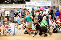 Hound Group Sat Ring