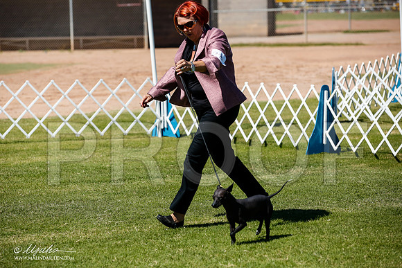 _JJ_7974-AlamogordoOct2014-HR3
