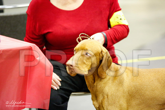 _RH_1194-BeltonJan2015IABCA-HR3