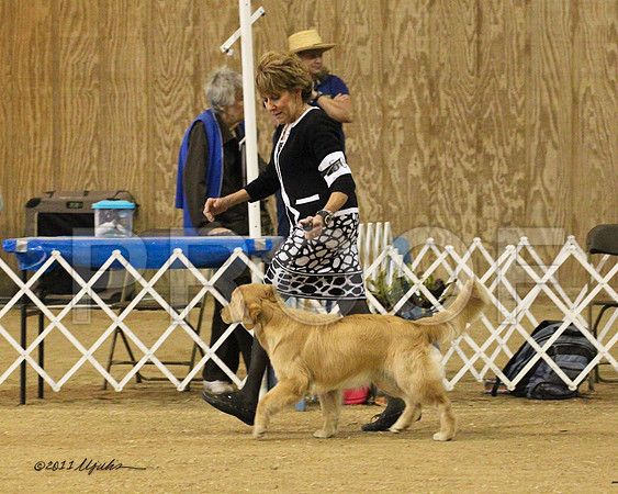 BIS Puppy-9124
