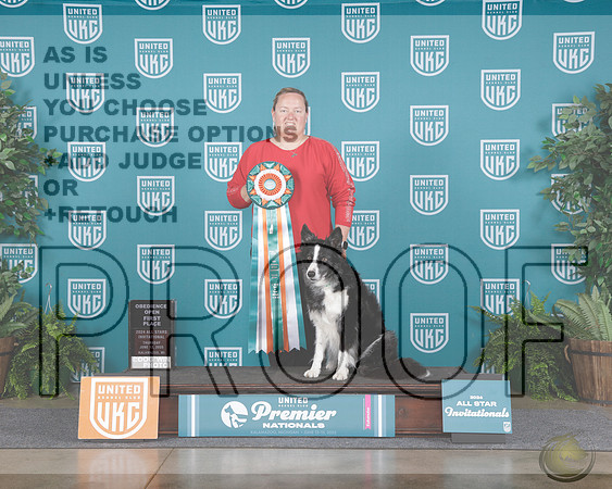 Border Collie #208 Thurs Open Judge Karen Shivers_WP_6517-UKC Premier 2025-HR3