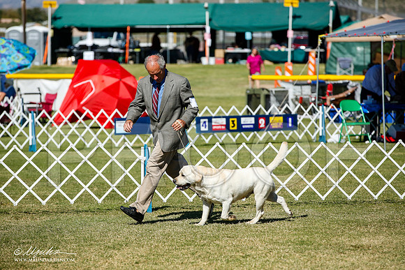 _JJ_1431-AlamogordoOct2014-HR3
