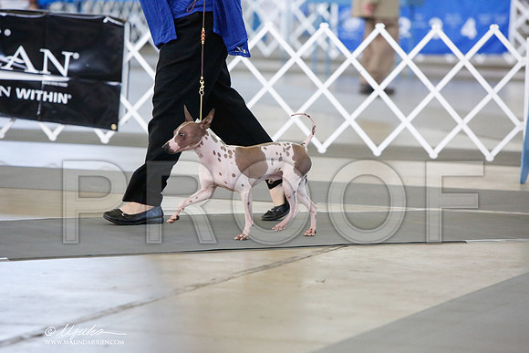 _JJ_7500-DallasJul2014-HR3