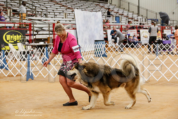 _HR_7932-TxArJun2014-HR3