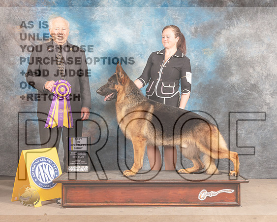 German Shepherd Dog #5 Fri BISS Judge Carmen Battaglia-MMJ_7896-FW2022-HR3