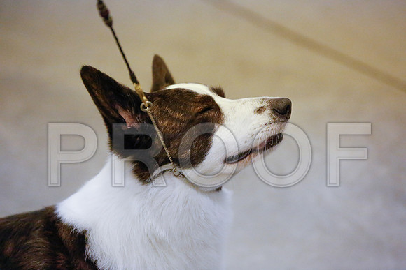 _JN_1046-AmarilloSept2014-HR3