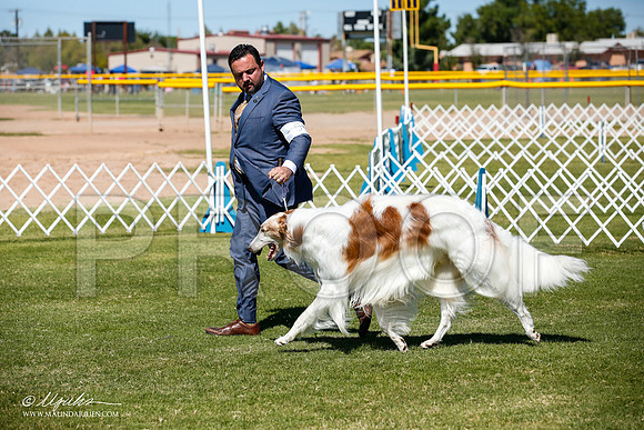 _JJ_7811-AlamogordoOct2014-HR3
